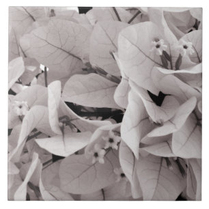 Teste padrão floral do estilo elegante do vintage