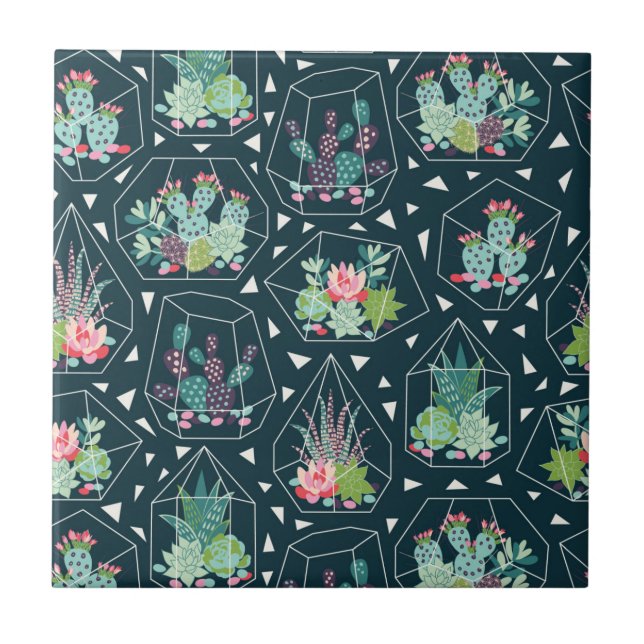 Teste padrão geométrico dos Succulents (Frente)