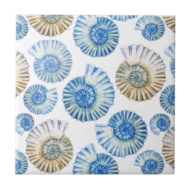 Teste padrão Pastel 2 do Seashell (Frente)