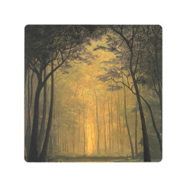 testgo tomas sanchez