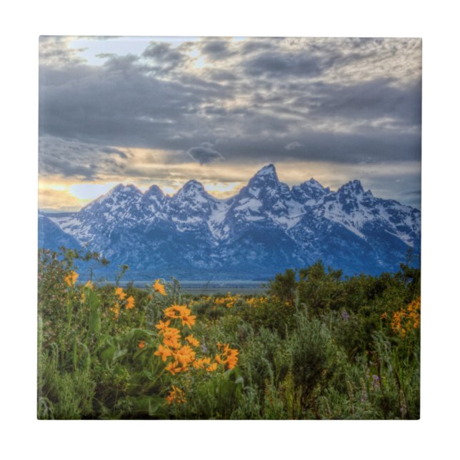 Tetons grande (Frente)