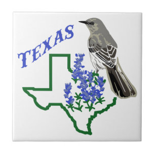 Texas