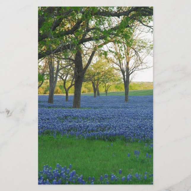 Texas Blue Bonnets (Frente)