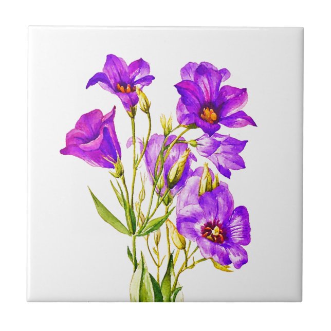 Texas Bluebells Eustoma Russellianum Watercolor (Frente)