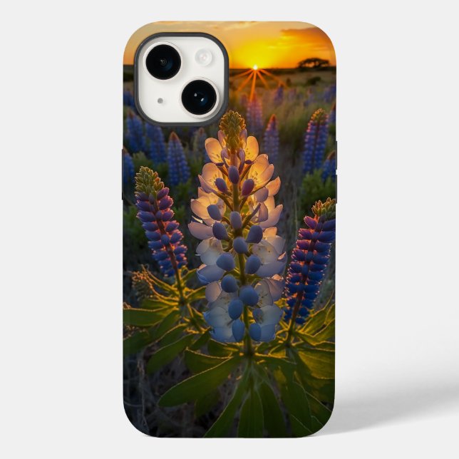 Texas Bluebonnet (Verso)