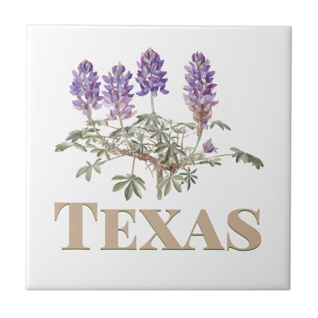 Texas Bluebonnet 2 (Frente)