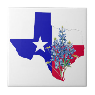 Texas e Bluebonnets