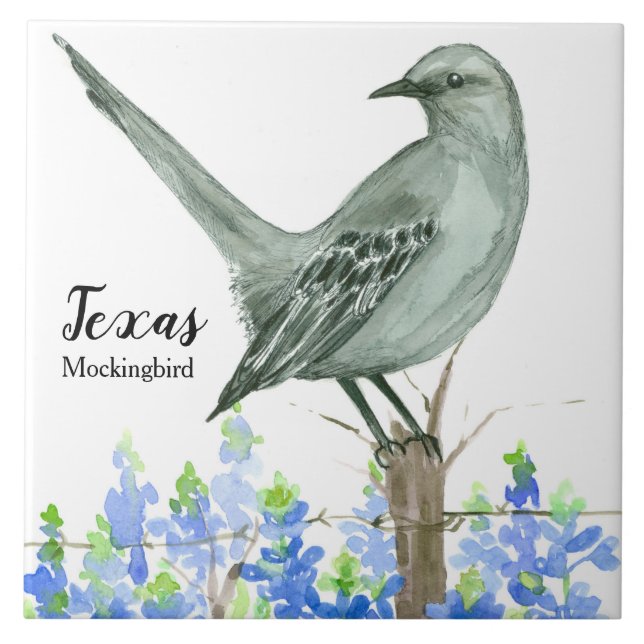 Texas State Mockingbird Bluebonnet (Frente)