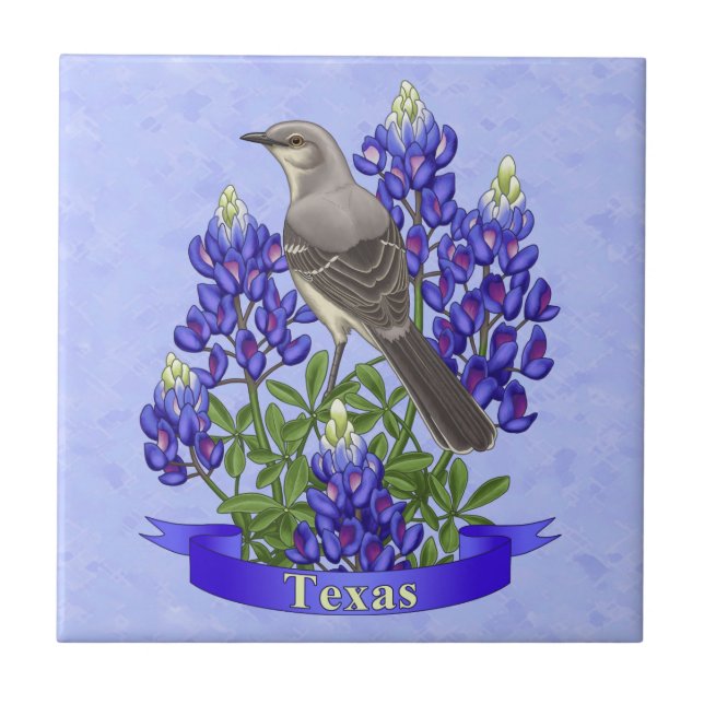 Texas State Mockingbird & Bluebonnet Flower (Frente)