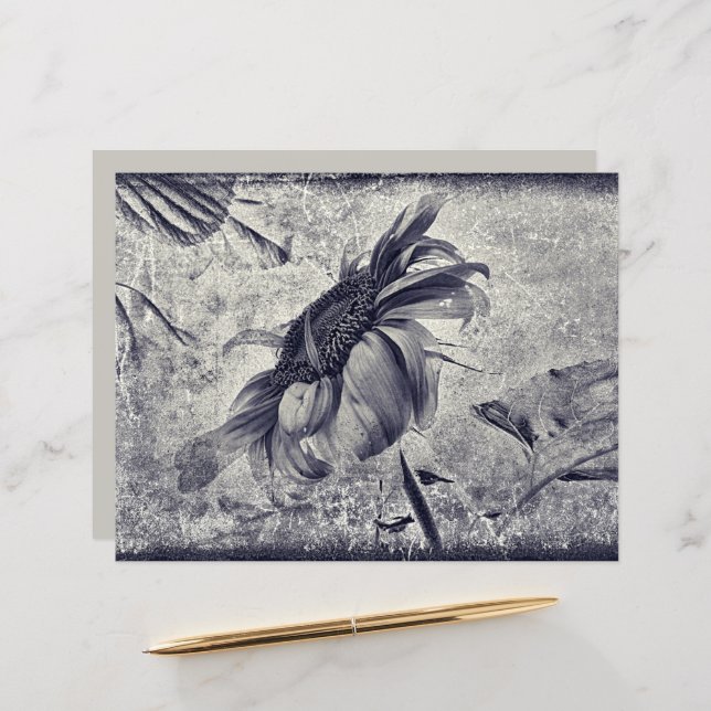 Textura Antiquada Branca, Negra, De Girassol (Frente/Verso In Situ)