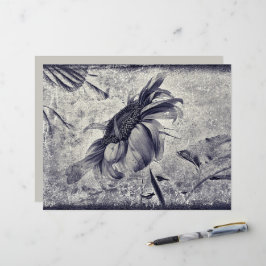 Textura Antiquada Branca, Negra, De Girassol