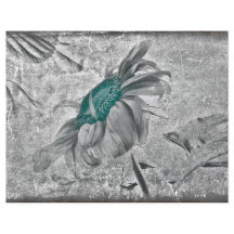 Textura Antiquada da Cinza de girassol