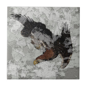 Textura com Azulejo cerâmico de águia japonesa