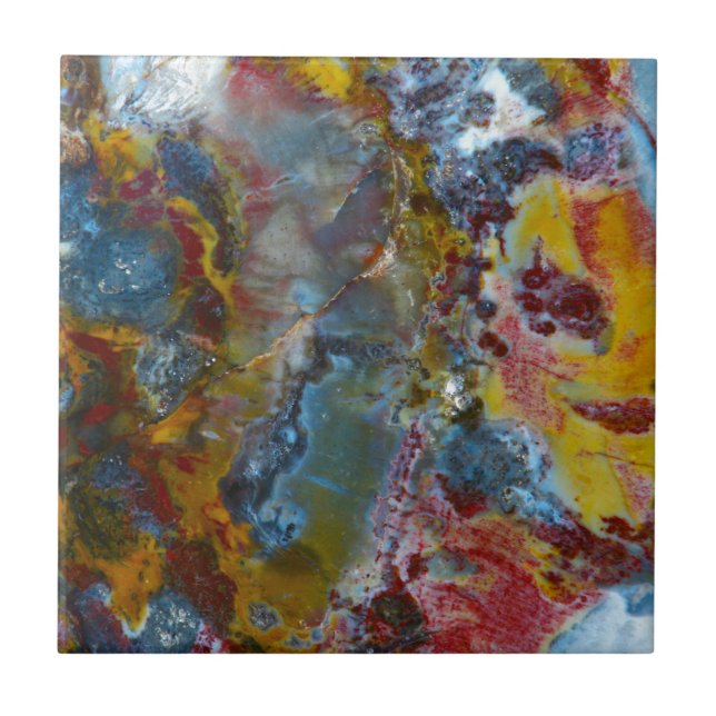 Textura da madeira Petrified (Frente)