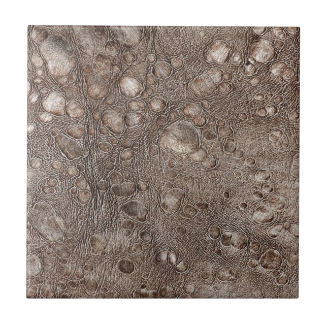 Textura de aspecto do couro (Frente)