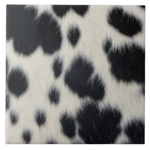 textura de couro de pele de pelo de vaca preto e b