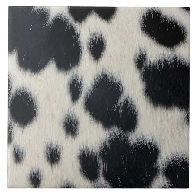 textura de couro de pele de pelo de vaca preto e b (Frente)