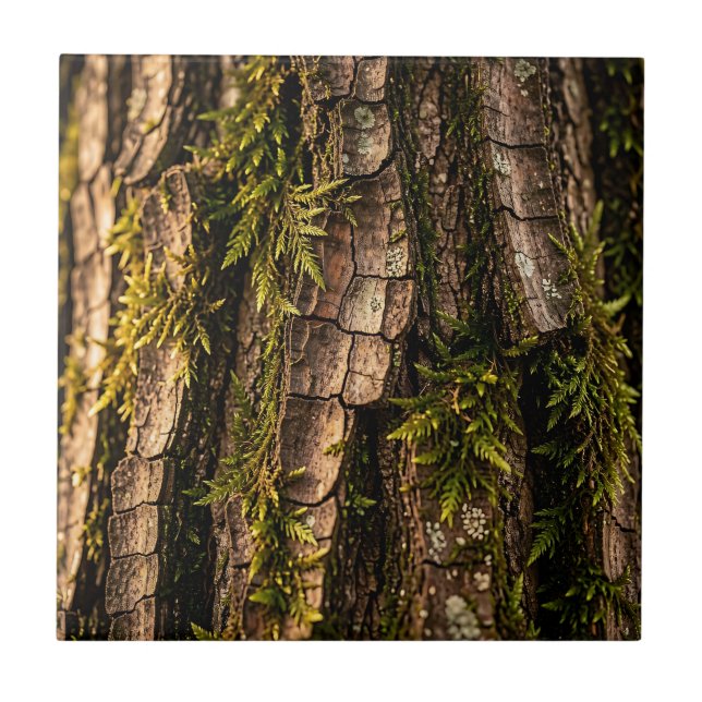 Textura de Floresta de Casca de Árvore Musgosa (Frente)