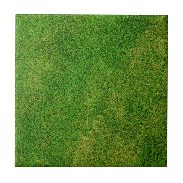 Textura de grama verde (Frente)