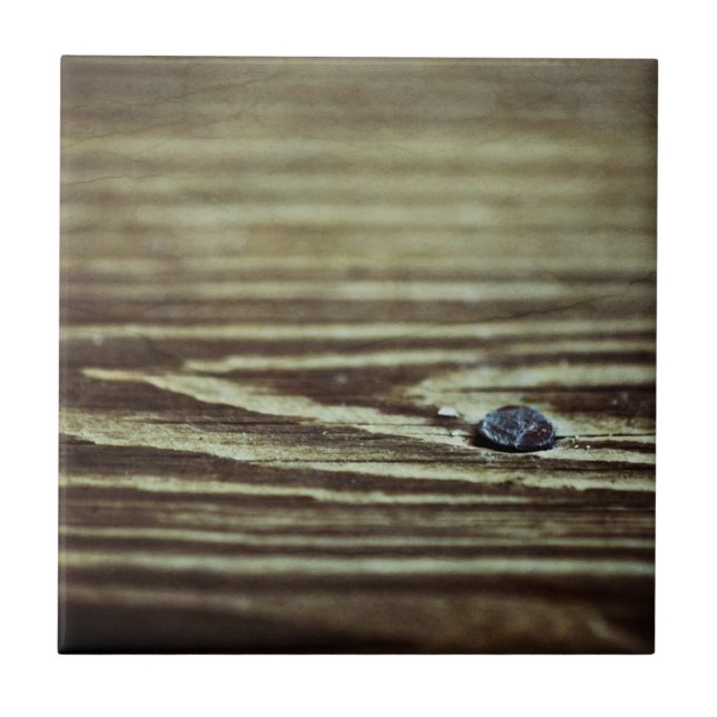 Textura de grãos de madeira por Shirley Taylor (Frente)