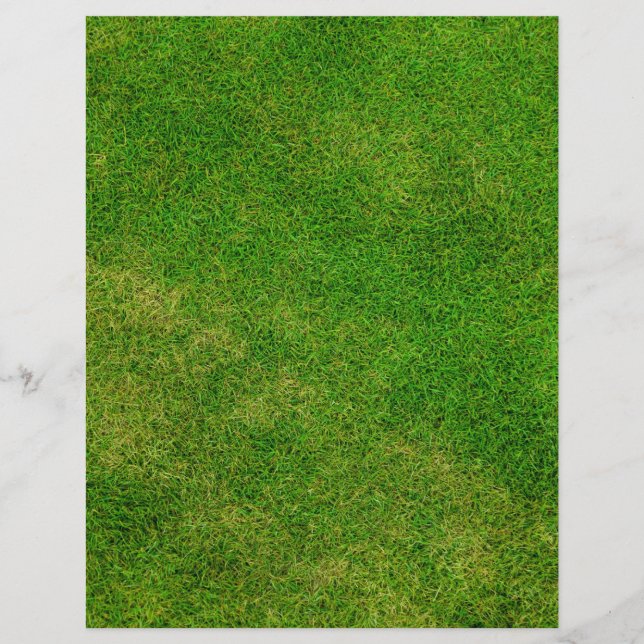 Textura de Grass Verde (Frente)