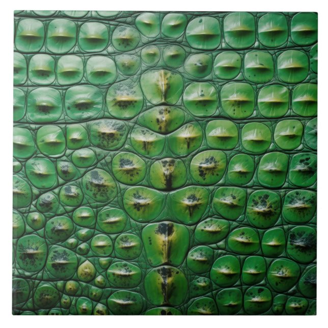 textura de pele de crocodilo animal verde escama s (Frente)