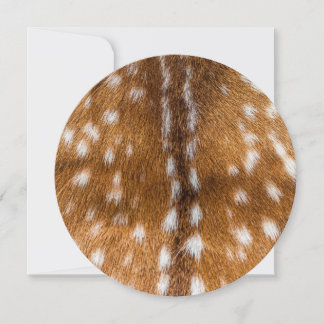 Textura de pele de veado