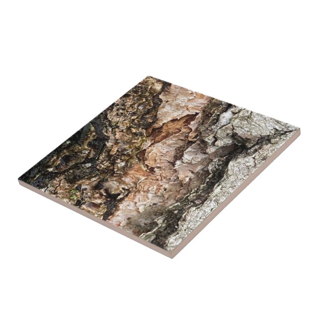 Textura do Latido em árvore (Lateral)