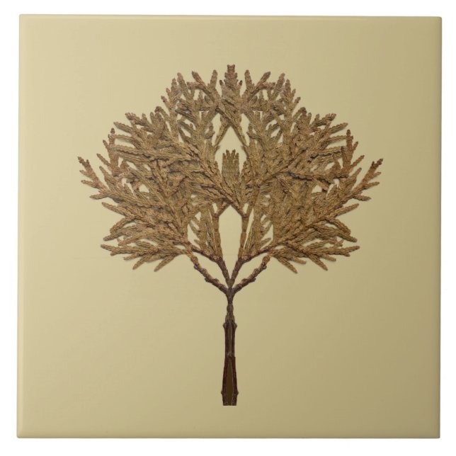 Textural Treasures of Winter on Ceramic Tile - D1 (Frente)