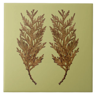 Textural Treasures of Winter on Ceramic Tile - D3