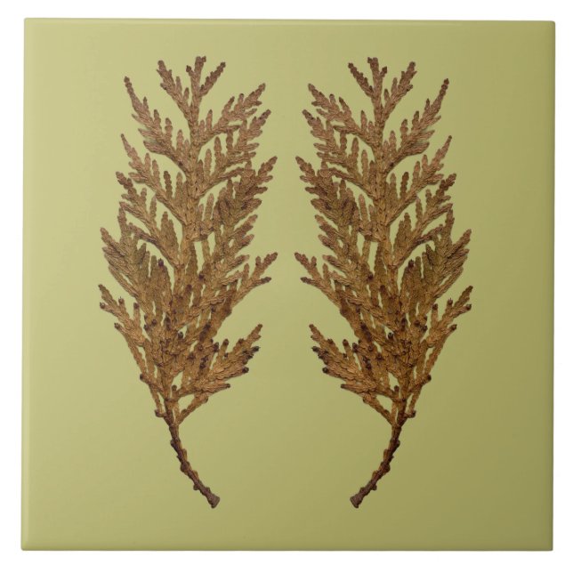 Textural Treasures of Winter on Ceramic Tile - D3 (Frente)