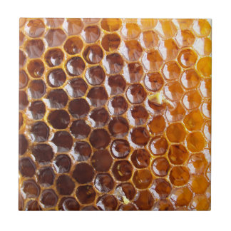 Texturas naturais - favo de mel