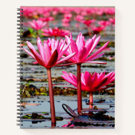 Thailand - Kumphawapi Lotus Lake