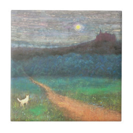 The Cat's Midnight Journey