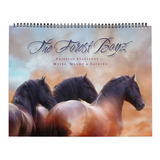 The Forest Boyz – Calendário Sempre & Para Sempre (Capa)