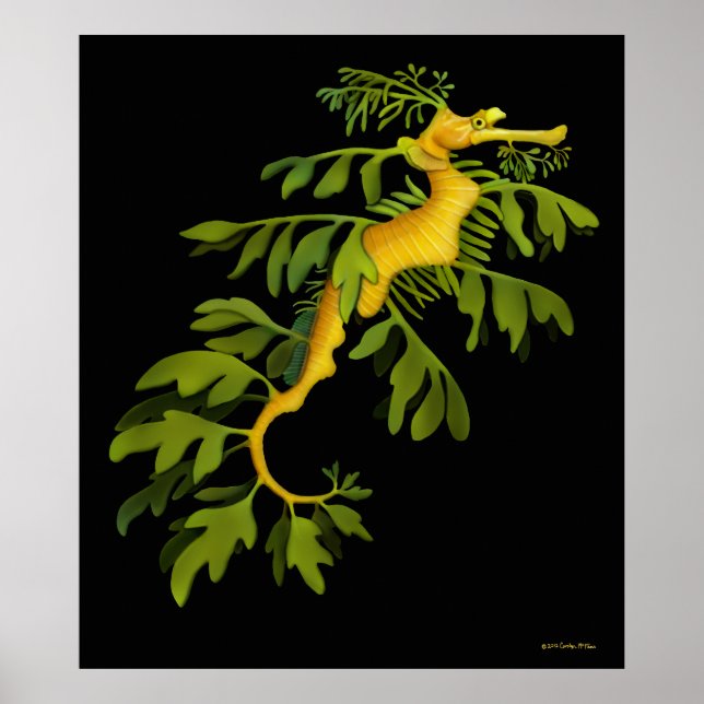 The Leafy Sea Dragon Seahorse Poster (Frente)