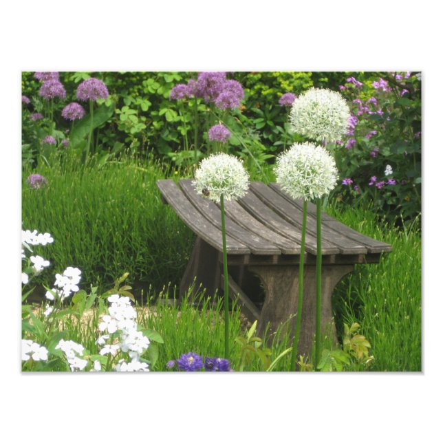 The Little Bench - Impressão de Fotografia do Koda (Frente)