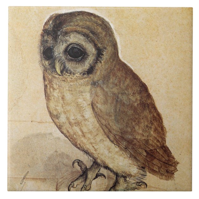 The Little Owl (por Albrecht Durer) (Frente)