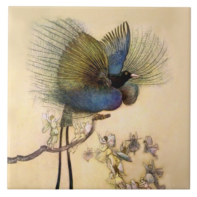 “The Most Beautiful Bird” by Warwick Goble (Frente)