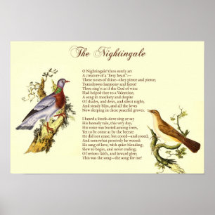 "The Nightingale" por Wordsworth - Art Impressão