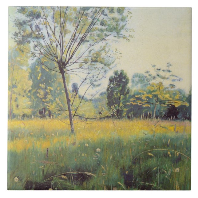 The Ouro Meadow (por Ferdinand Hodler) (Frente)