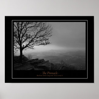 The Pinnacle Poster