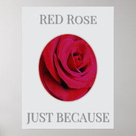 THE RED Rose Poster