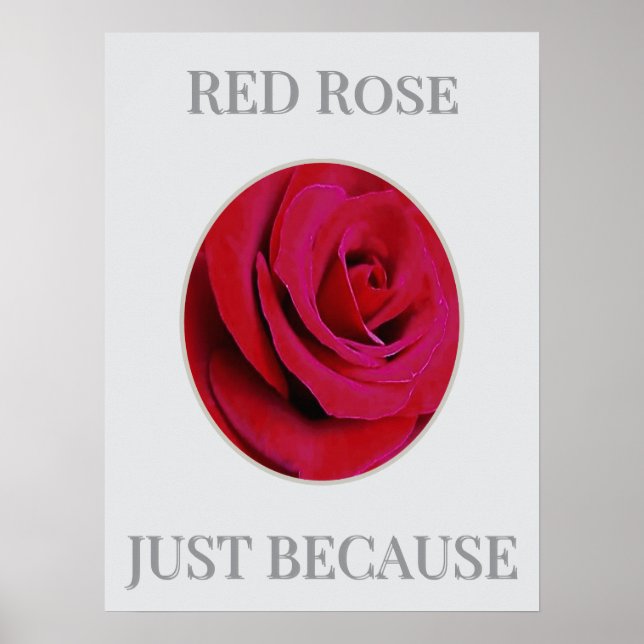 THE RED Rose Poster (Frente)