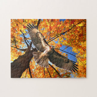 "The Sunday Hawk" Quebra-cabeça