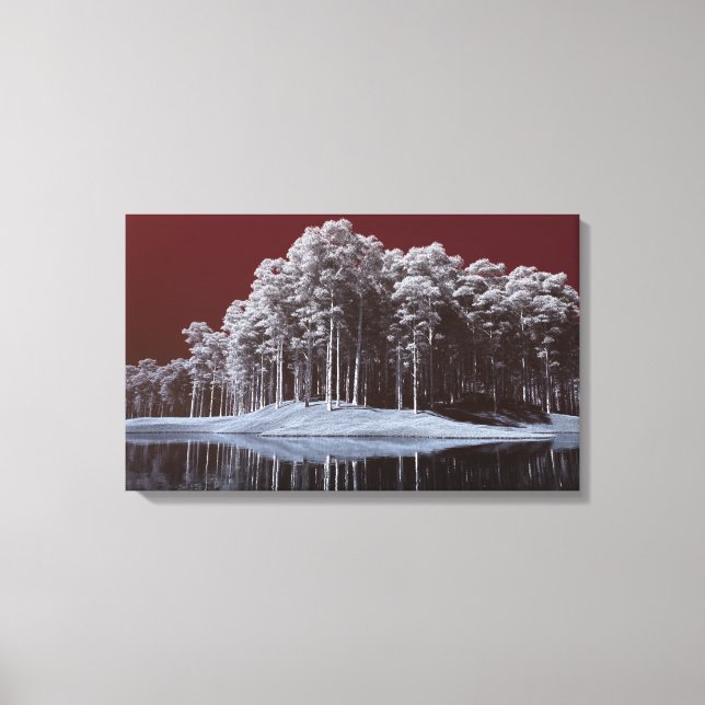 The White Woods Canvas Print (Frente)