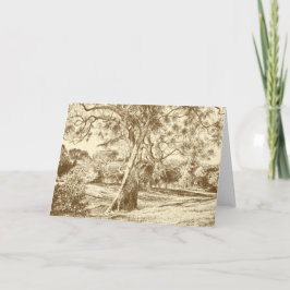 The Winnie the Pooh Tree - Cartões de agradeciment