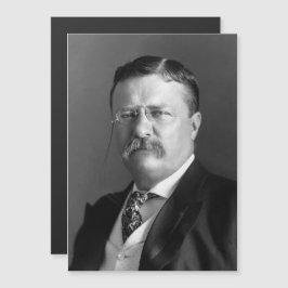 Theodore Roosevelt Presidente Ursinho Republicano