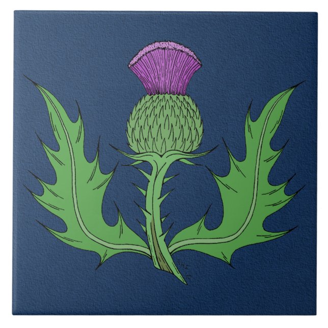 Thistle (Frente)