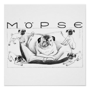 Thomas Theodor Heine - Impressão Möpse Poster